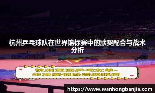 emc易倍体育