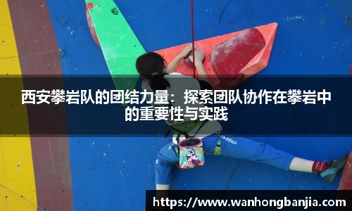 emc易倍.emc易倍官网
