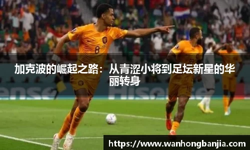 emc易倍