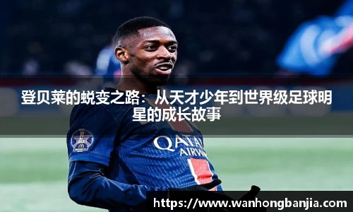 emc易倍体育